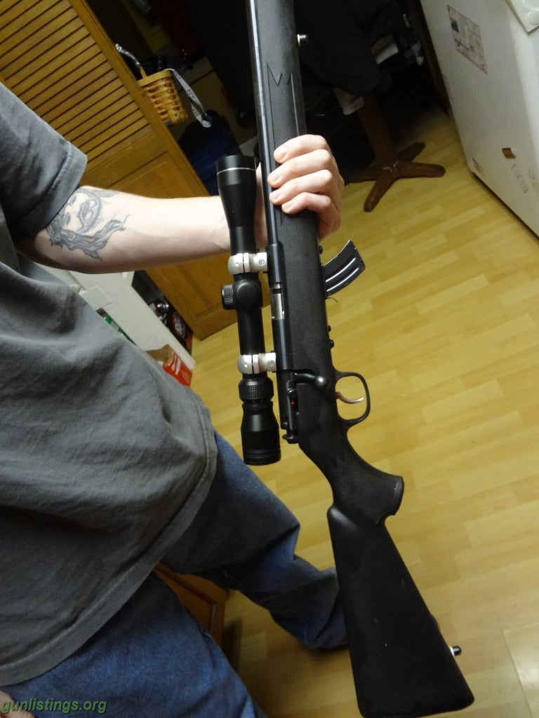 Rifles Savage Arms 17 Hm2