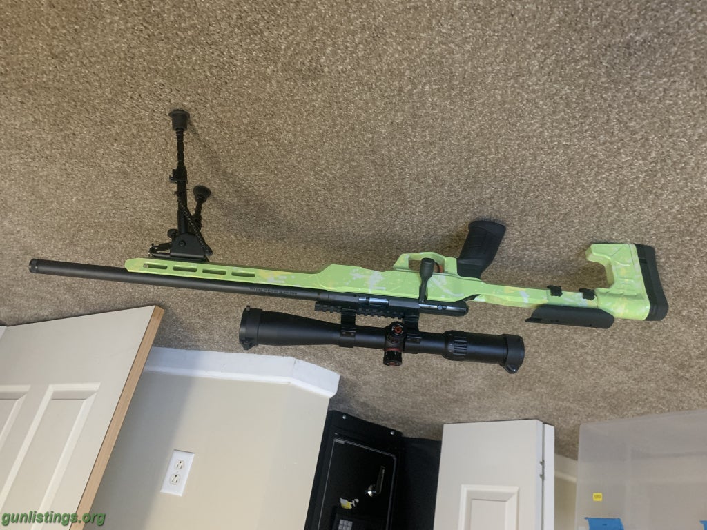 Rifles Savage B22 Precision .22LR, Customized