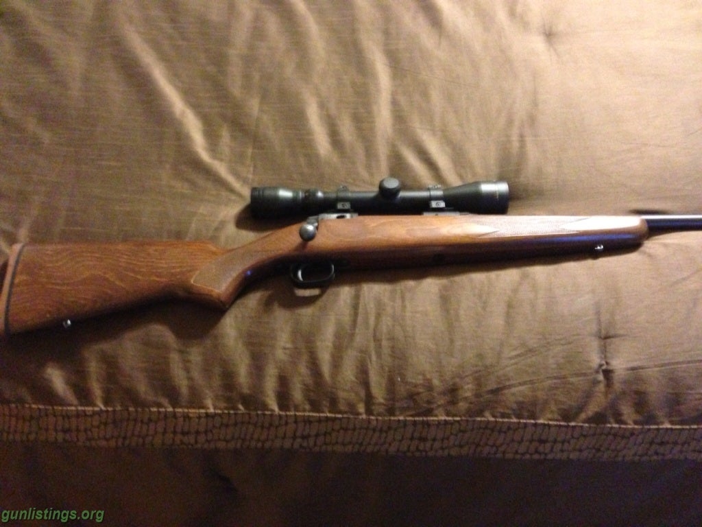 Rifles Savage Model 10 243cal