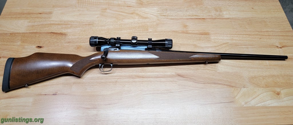 Rifles Savage Model 110 .243 Win. - Wood Stock