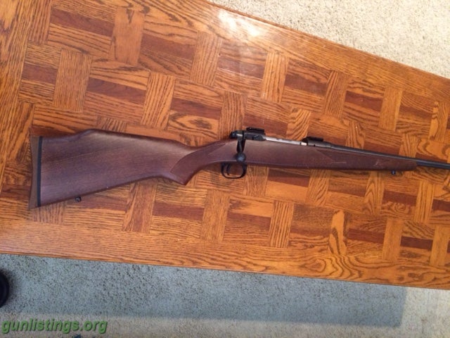 Rifles Savage Model 110 - .243 Winchester