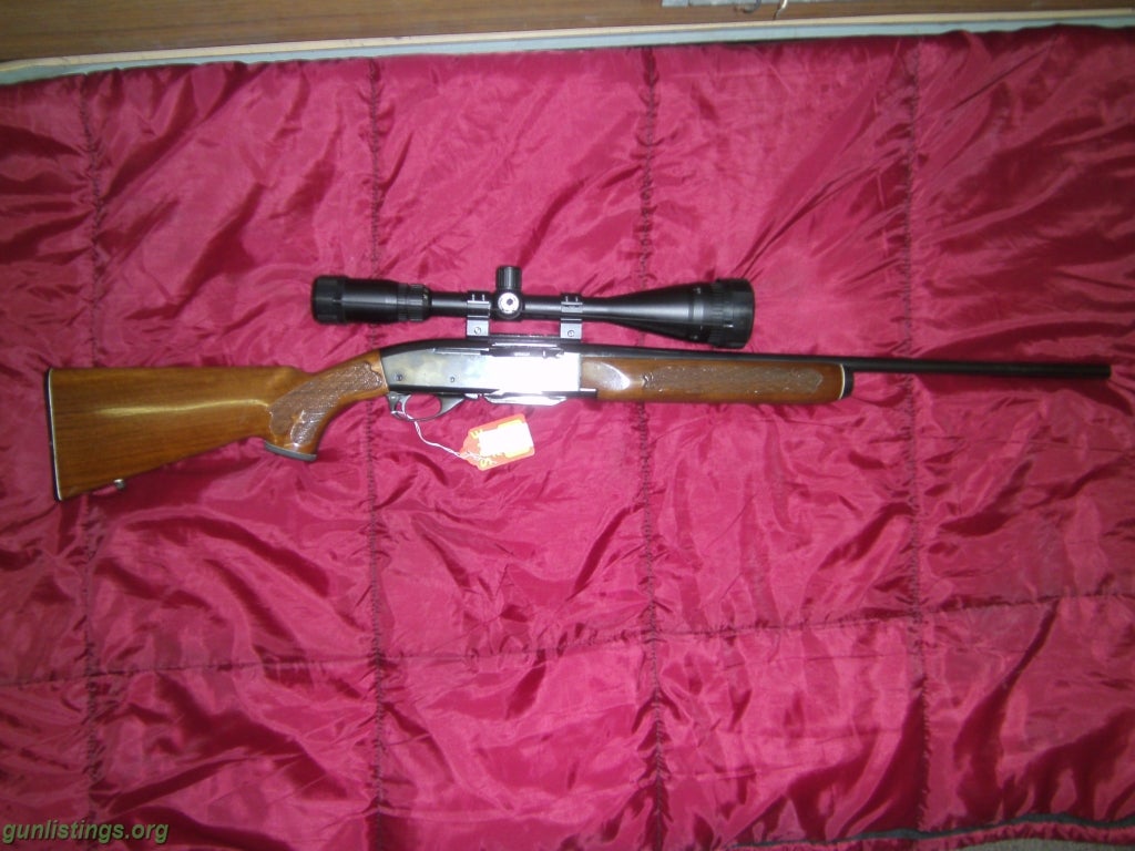 Rifles Semi-auto .243, 6-24X50 Scope