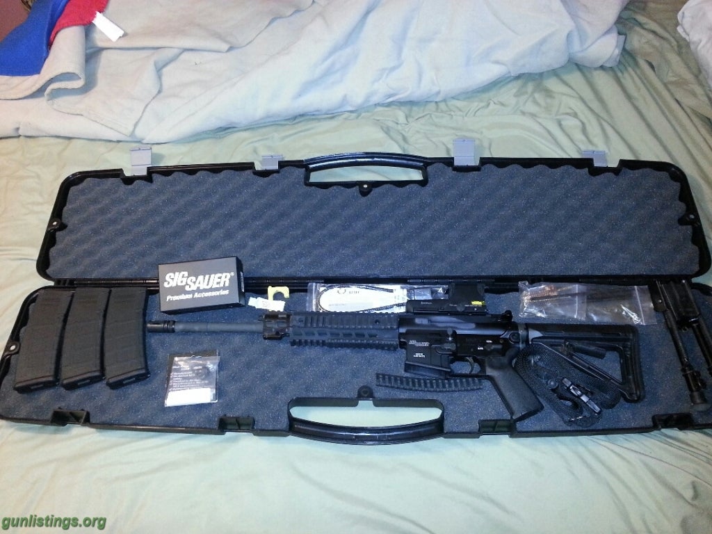 Rifles Sig 516 Piston AR W/ Eotech 512 & 3 PMags