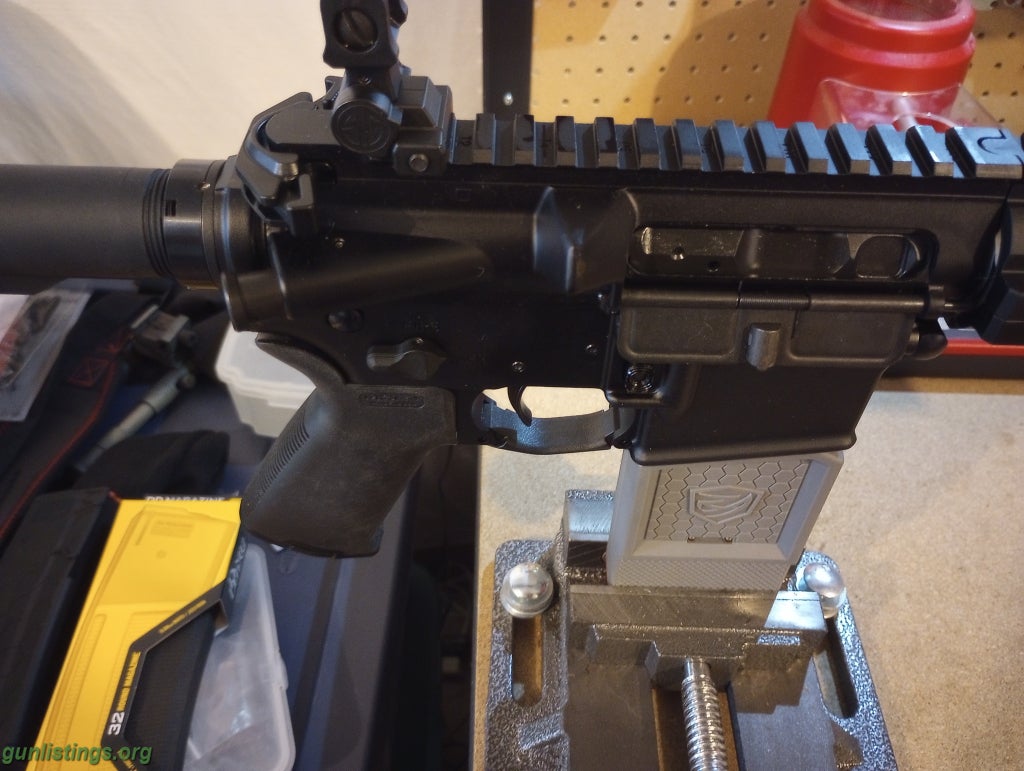 Rifles Sig 556 Piston Build