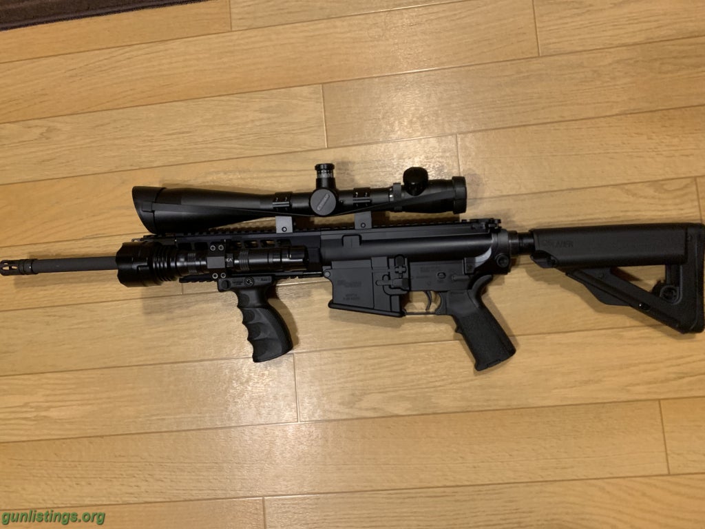 Rifles Sig Sauer AR10 308