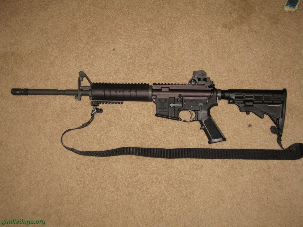 Rifles Stag AR