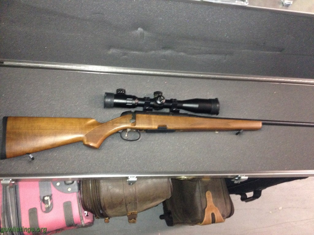 Rifles Steyr Classic Mountain Rifle (.270) +ammo/case