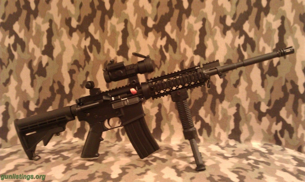 Rifles Windham Weaponry  (The Old Bushmaster Under A New Name)