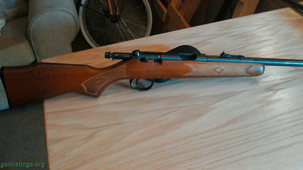 Rifles Youth Model 22