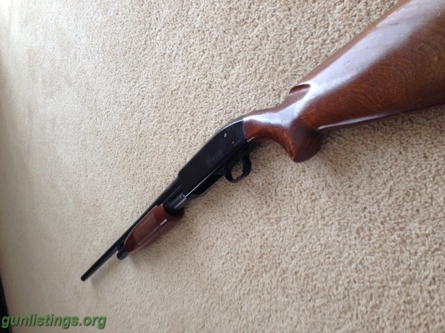 Shotguns 20 Gauge Pump Shotgun