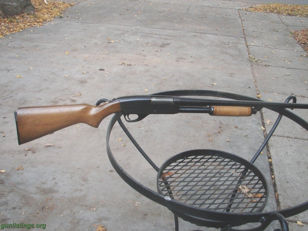 Shotguns 20 Gauge Pump Shotgun