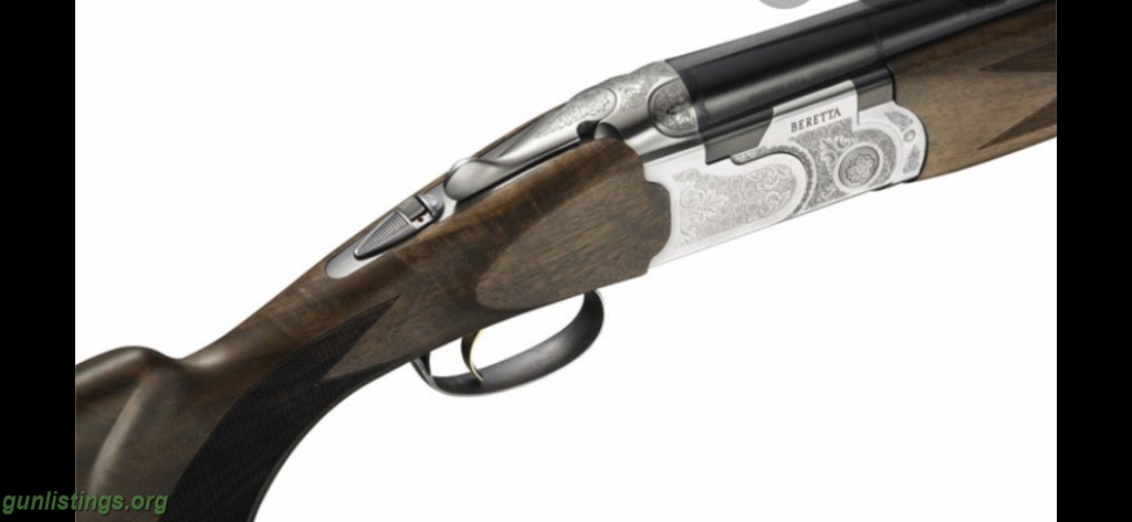 Shotguns Beretta