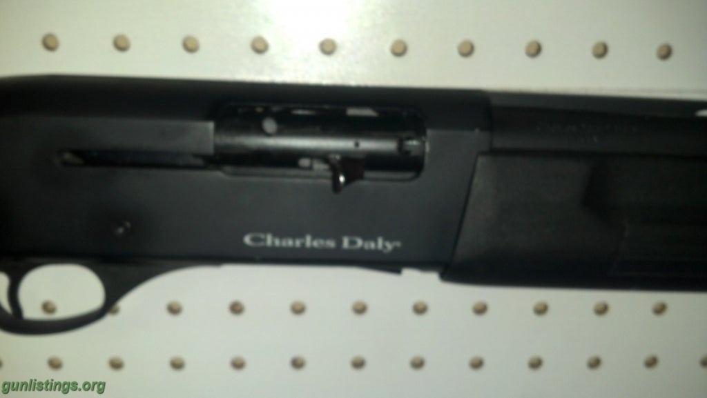 Shotguns Charles Daly 12ga Semi Auto And 500