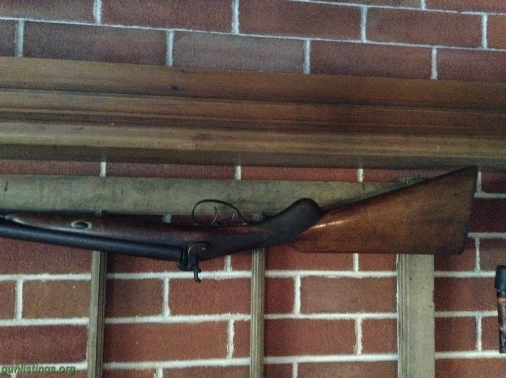 Shotguns Early 1900 Percussion Shotgun