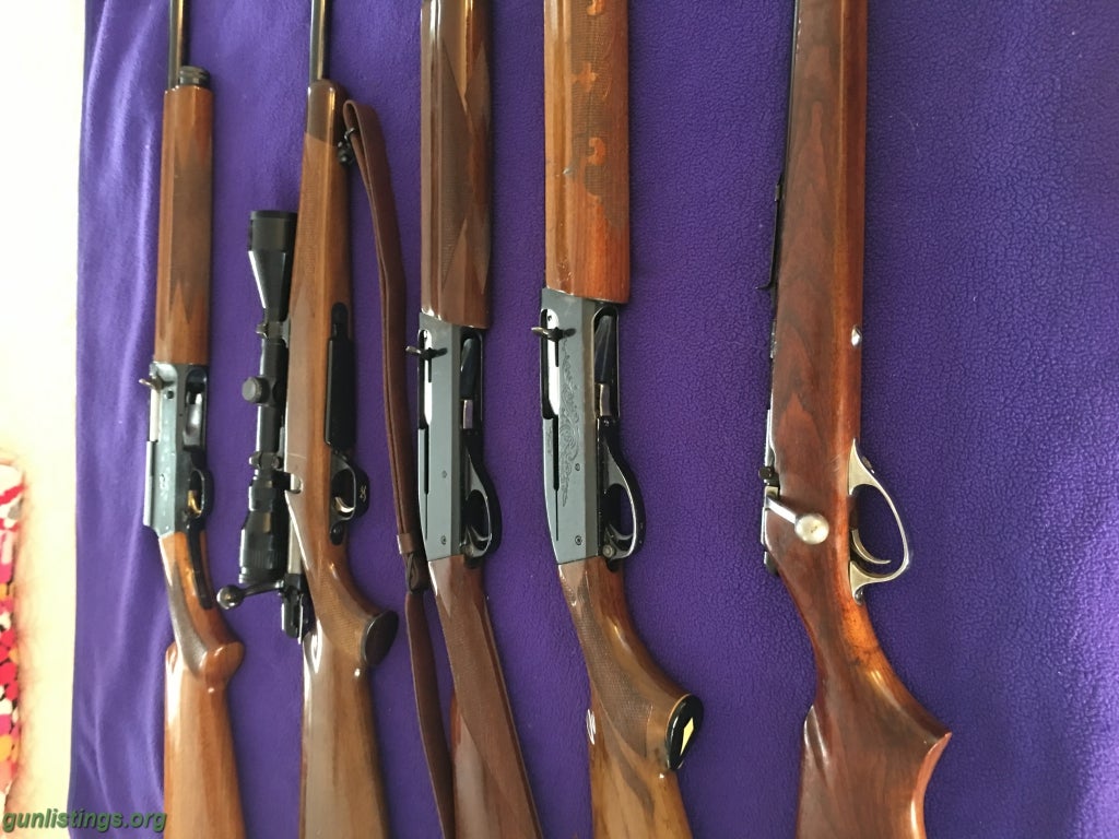 Shotguns For Sale: Belgium Browning 20 Gauge + Others