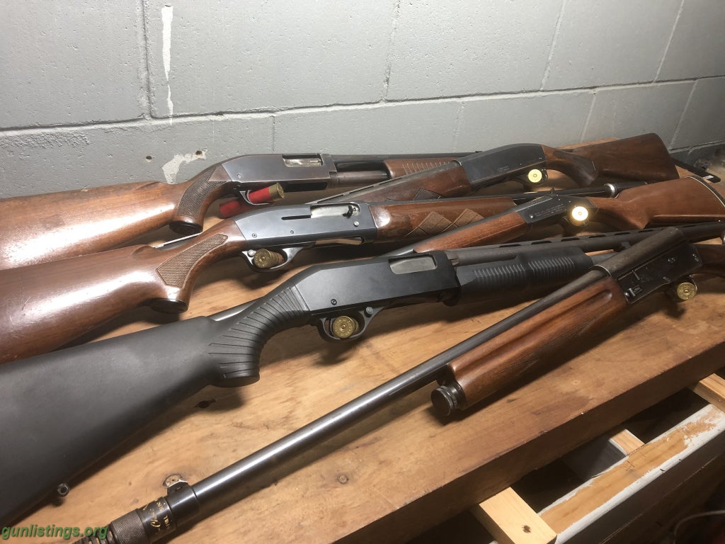 Shotguns Gun Collection For Sale