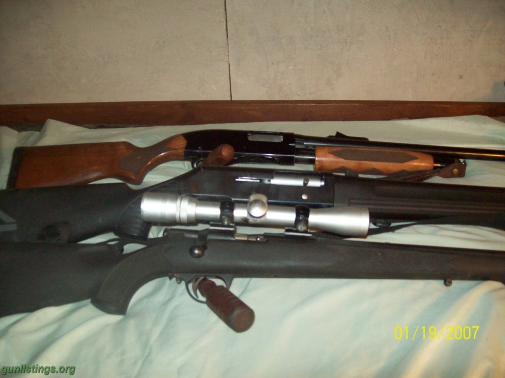 Shotguns Guns For Sale.