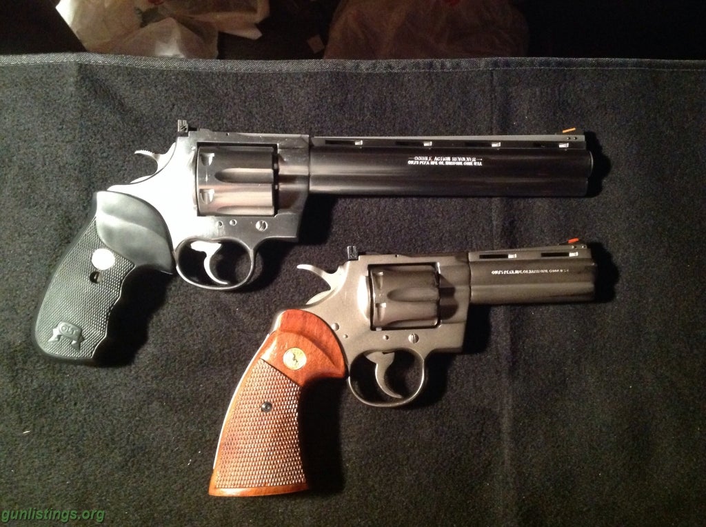 Shotguns Pair Of Colt Snakes