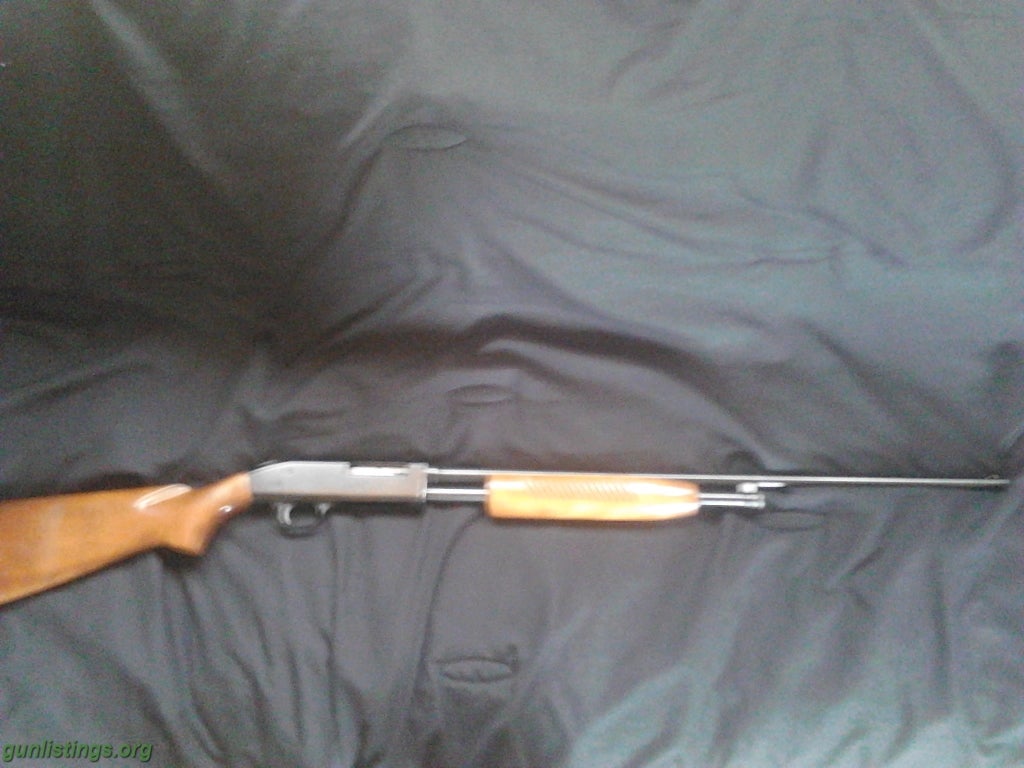 Shotguns Revelation R310E 410 Pump