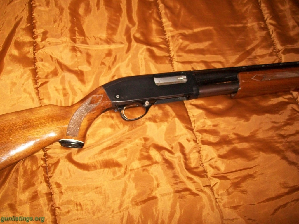 Shotguns Sears Roebuck Ted Williams Model 12 Gauge Pump