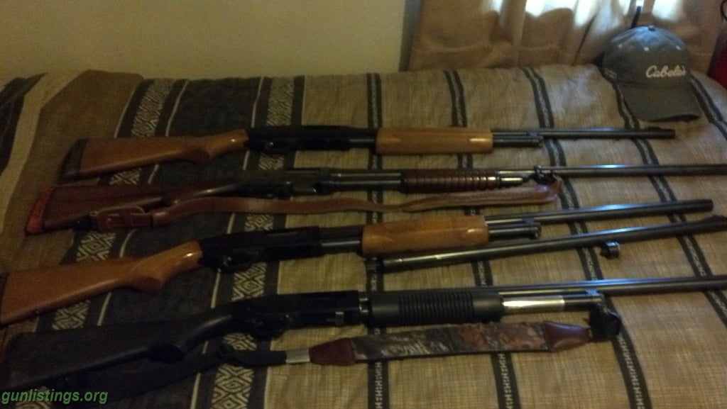 Shotguns Shotguns For Sale