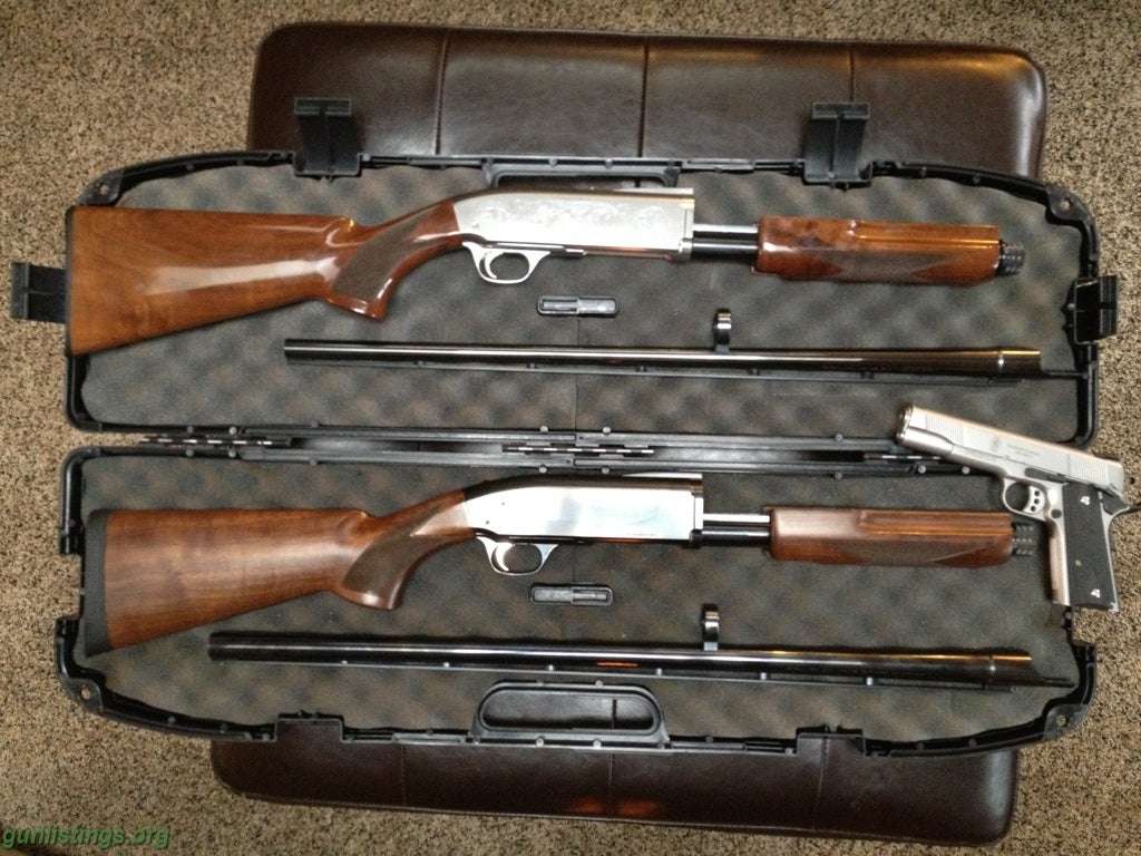 Shotguns Browning BPS's DU 28ga/ 12ga Hunter