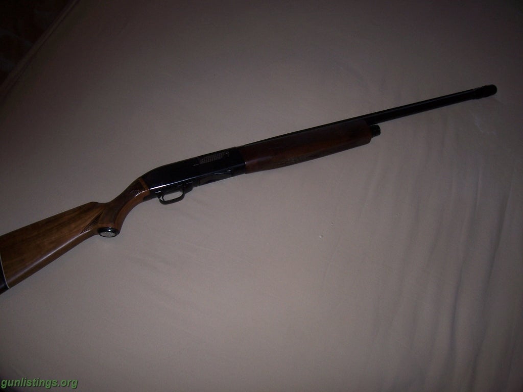 Shotguns Ted Williams 12ga. Semi-Auto Shotgun