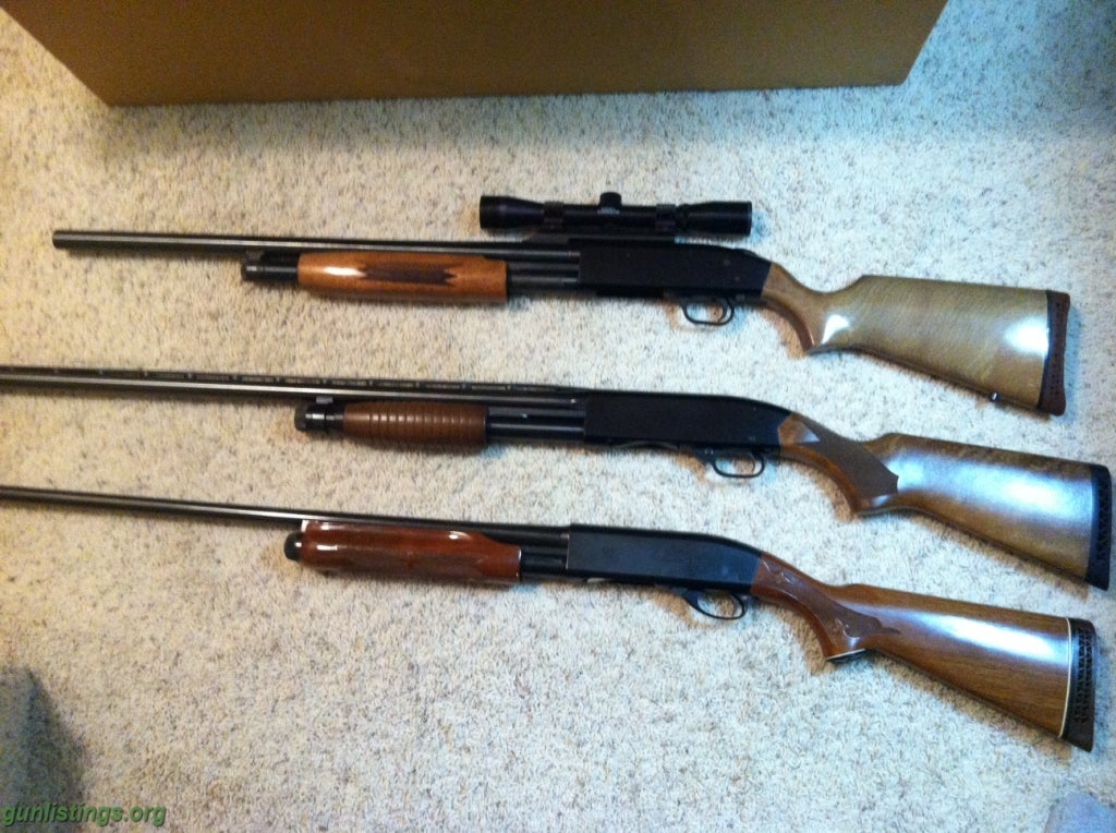 Shotguns Three Shotguns