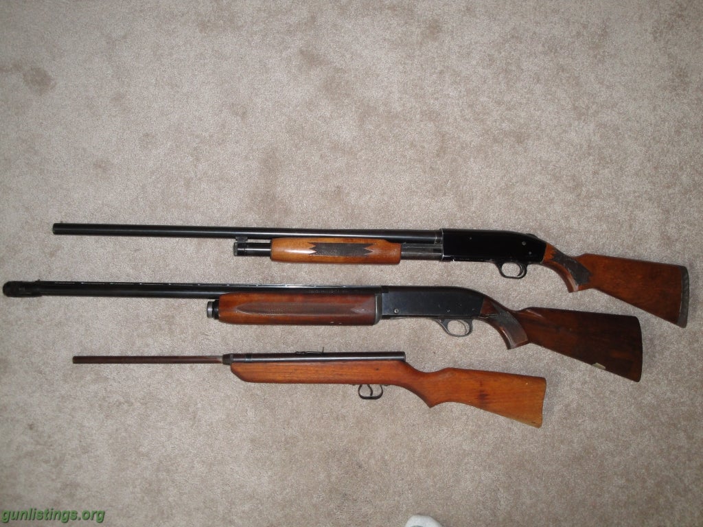 Shotguns ( Two ) 12 Gage Shotguns, Ammo & More