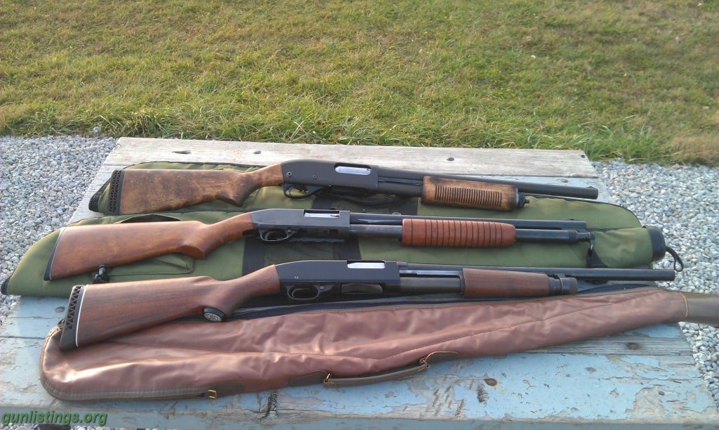 Shotguns Winchester 1200/sears 200 12 Ga 20