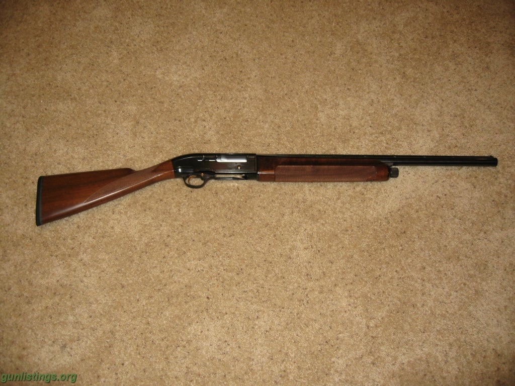 Wtb Beretta 303 12 Gage Shotgun