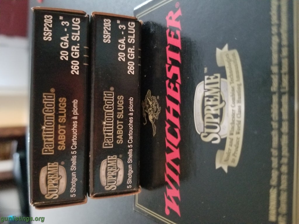 Ammo 20ga Sabot Slugs