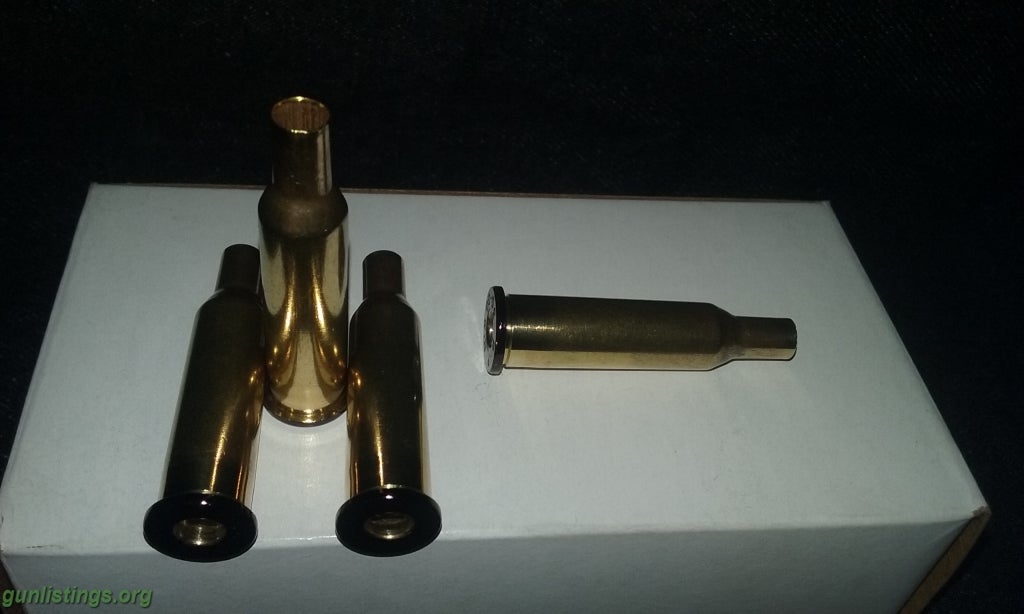 Ammo 219 Donaldson Wasp Brass