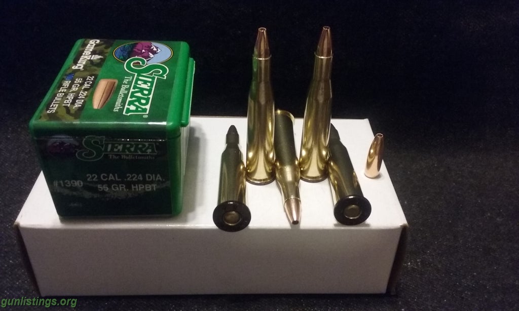 Ammo 219 Zipper Ammo.