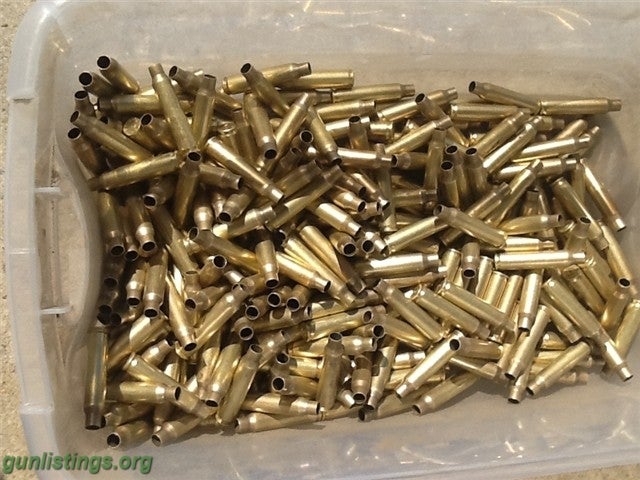 Ammo 223 / 5.56mm Brass