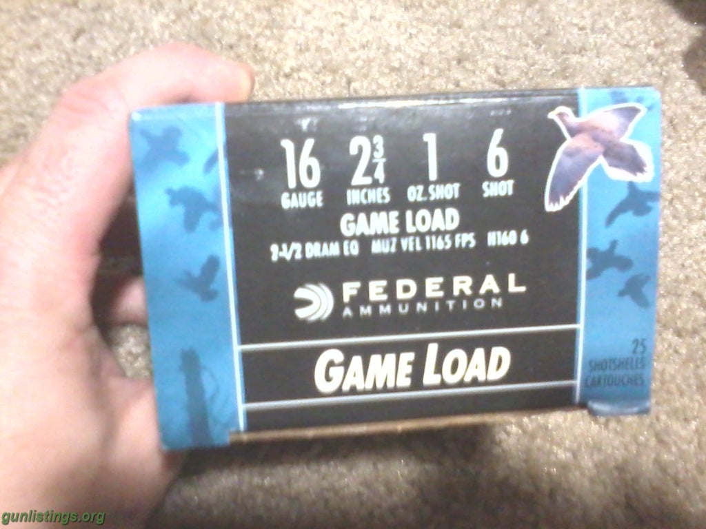 Ammo Federal 16 G