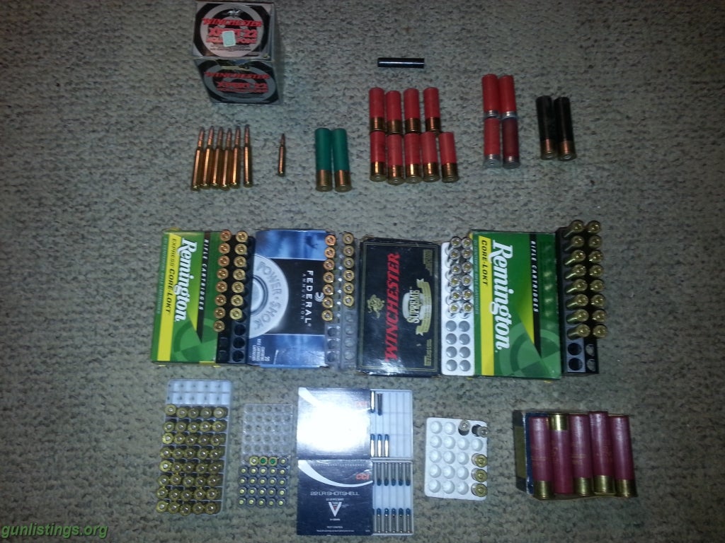 Ammo Lot Of Ammo