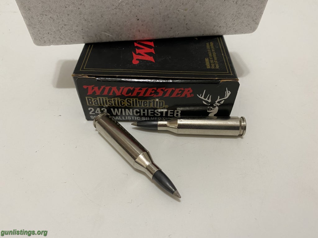 Ammo Winchester Ballistic Silvertip 243 Win 95 GR.