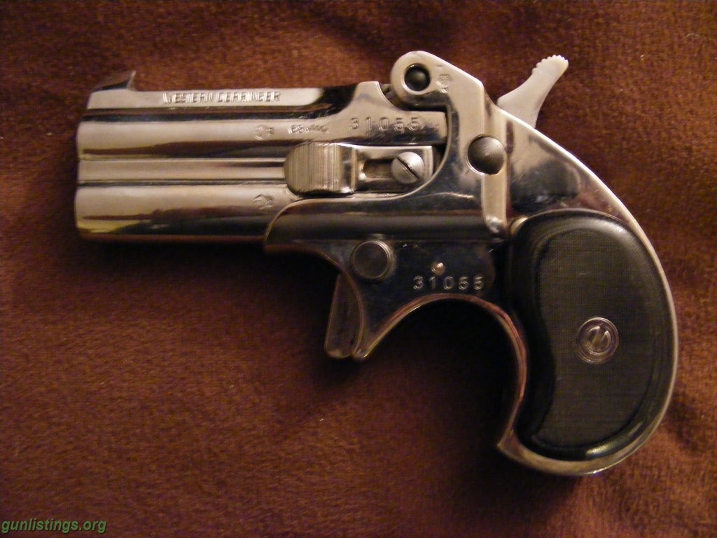 Pistols Derringer