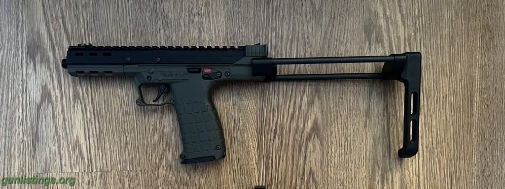 Pistols Keltec CP33 With Farrowtech Brace