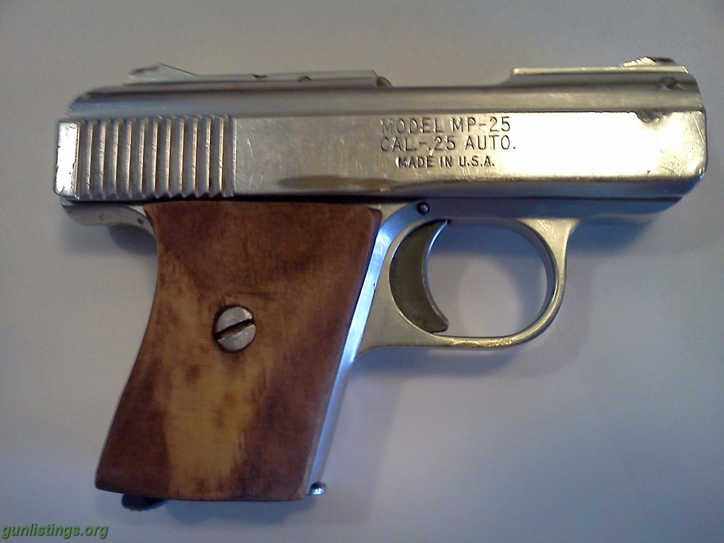 Pistols Raven 25acp