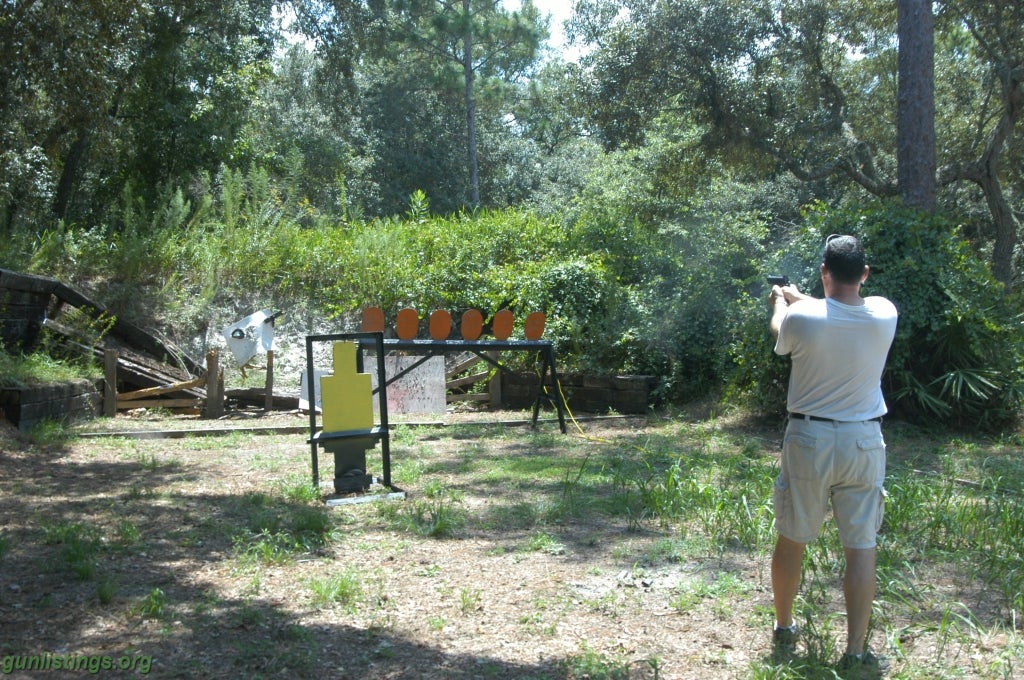 Pistols Steel Targets