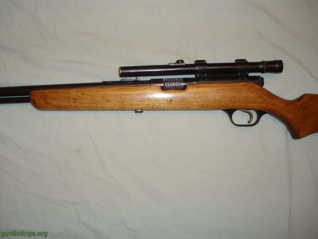 Rifles 22 Semi Auto Rifle With Scope