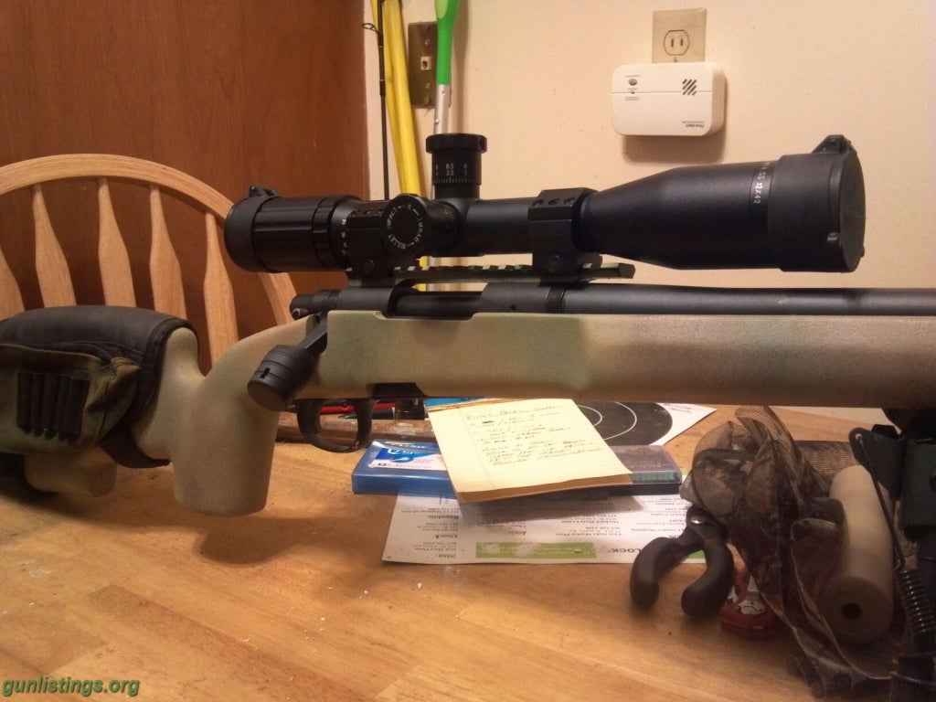 Rifles ### Custom Built Remington 700 Tactical + 100 Rds