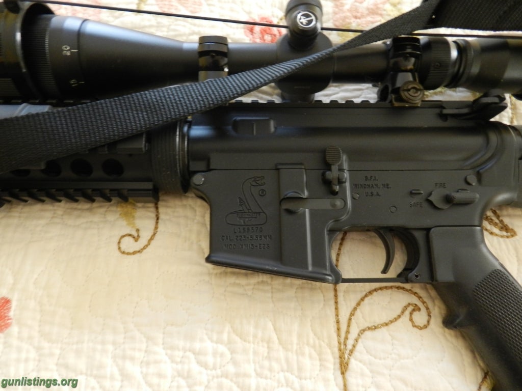 Rifles Bushmaster AR-15 And Ruger 10/22