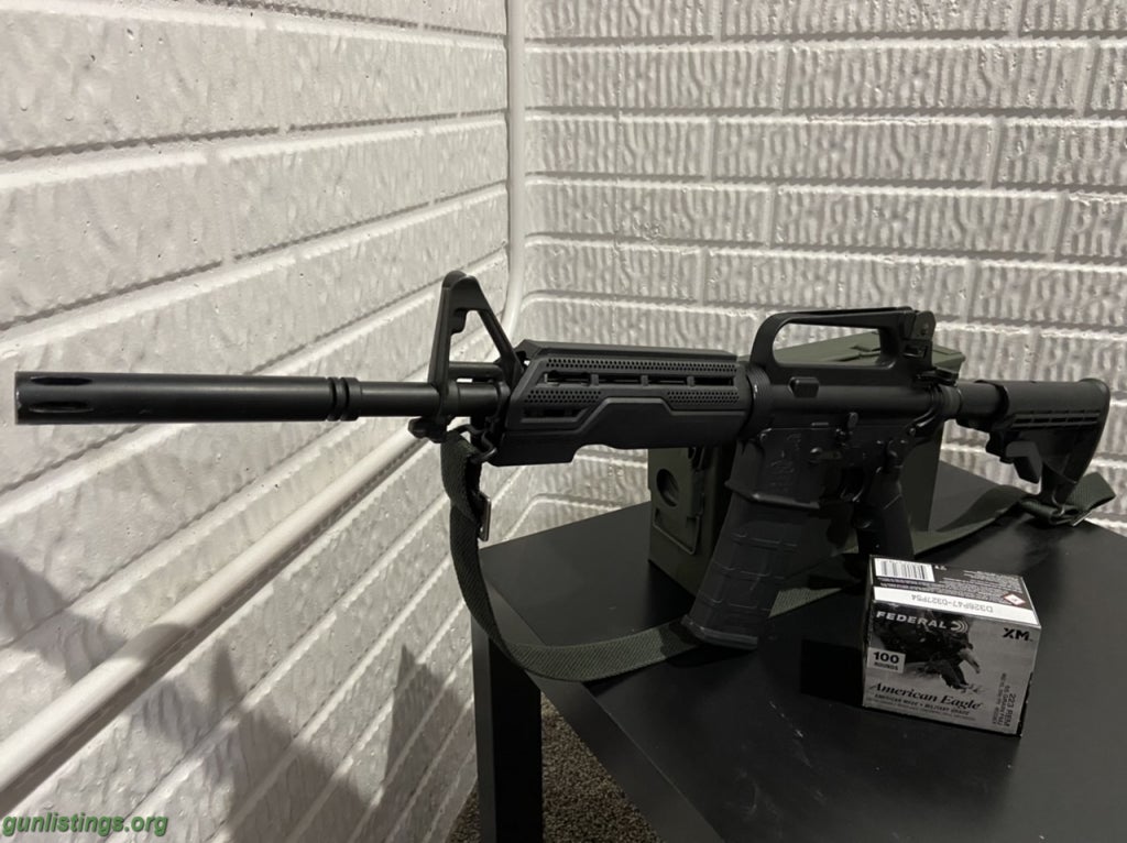 Rifles Bushmaster AR-15 With Ammo