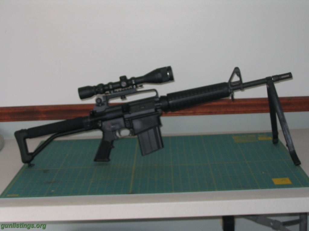 Rifles BUSHMASTER AR 10 (308)