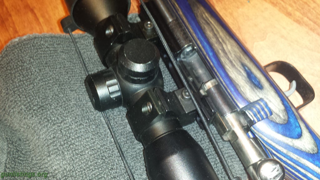 Rifles Cricket Blur Laminate With Scope And Mount