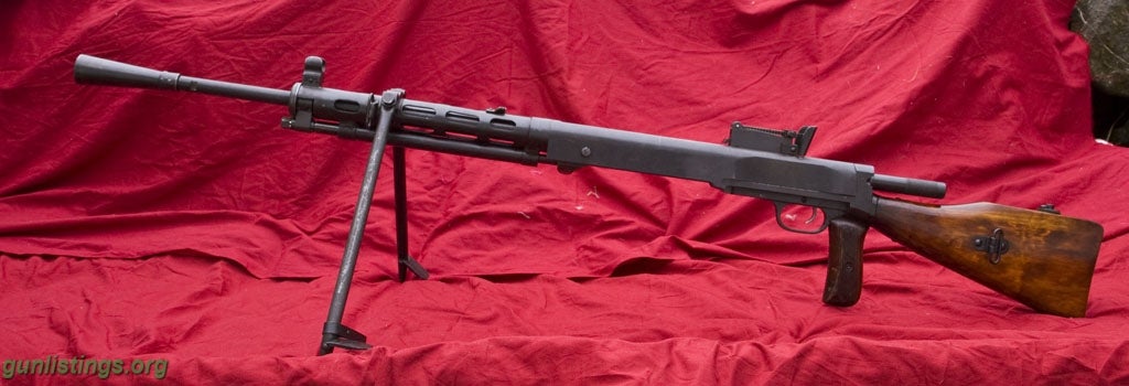 Rifles Degtyarev DPM