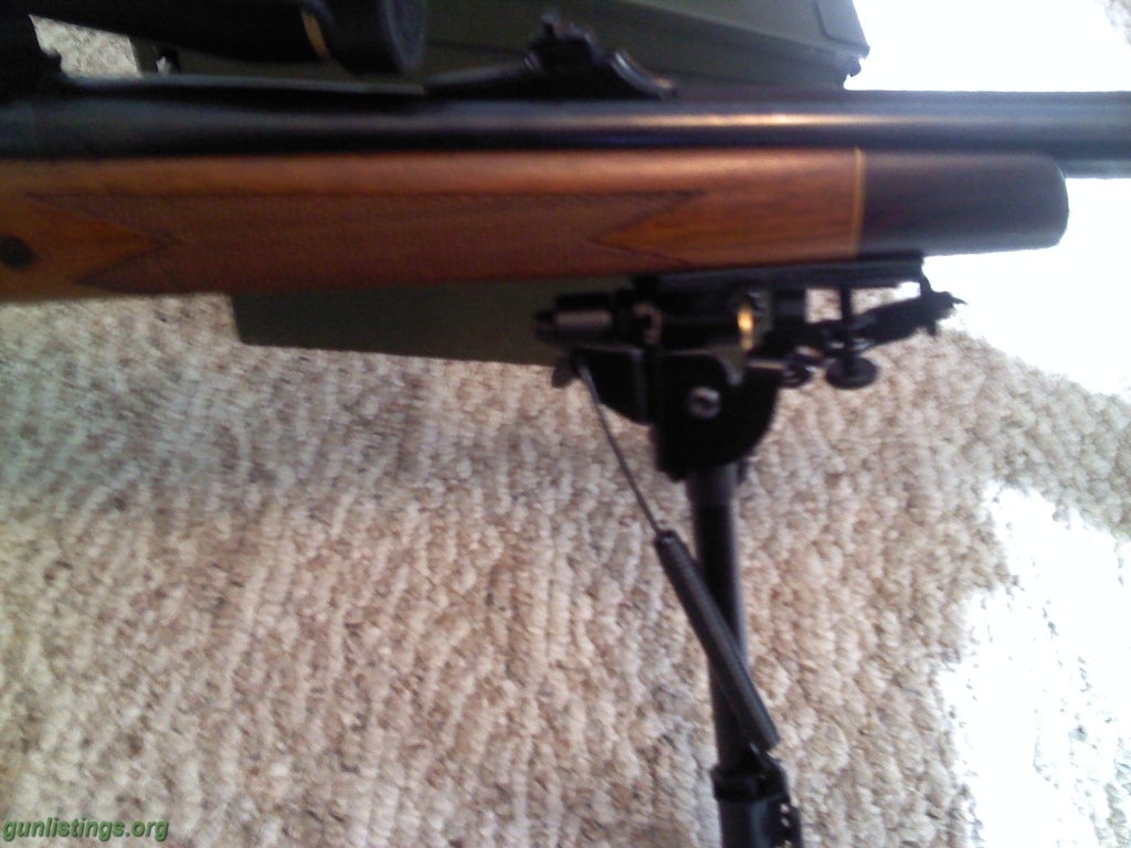 Rifles Elephant Gun Remington 700 .458 Win Mag, Bipod, Ammo